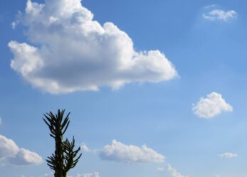 I tuoi click through the window