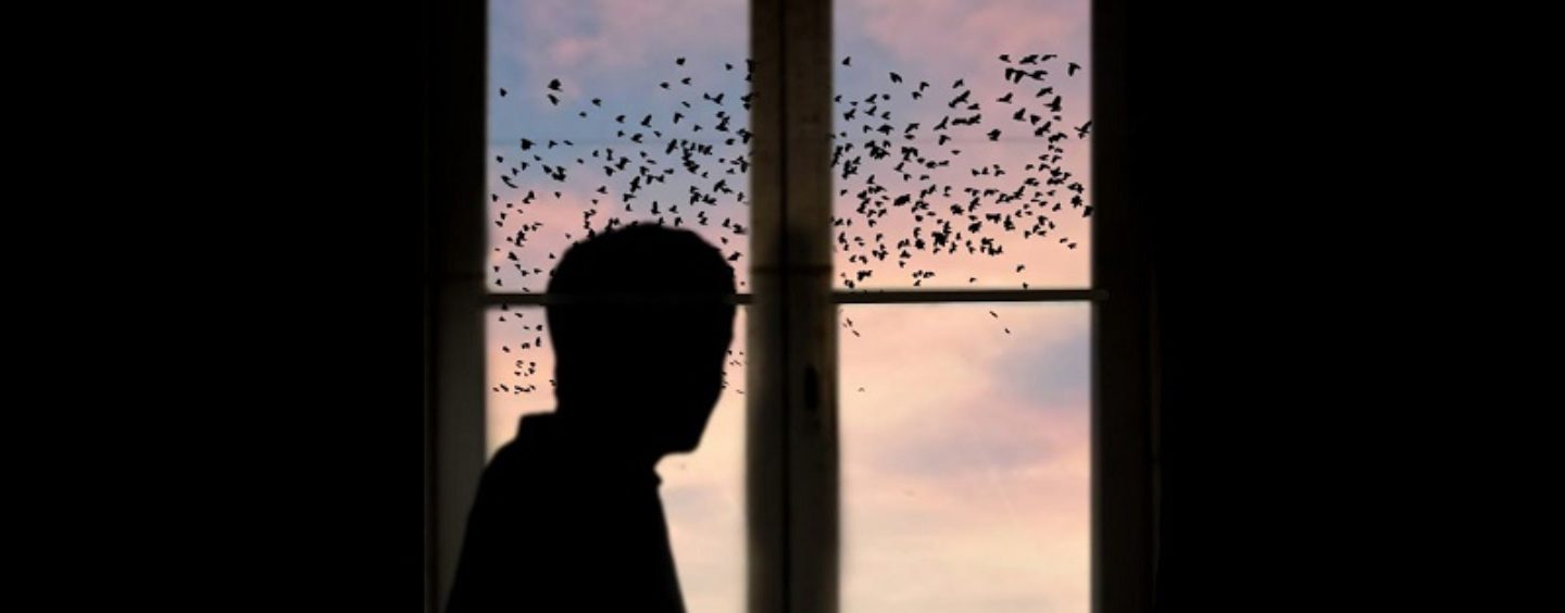 Diario di una diciottenne in quarantena