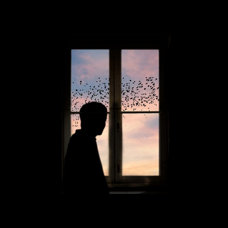 Passo tutto il giorno chiusa in camera mia, cercando di evitare il più possibile i miei familiari perché, stressati come siamo, probabilmente finiremmo per litigare. Di una 