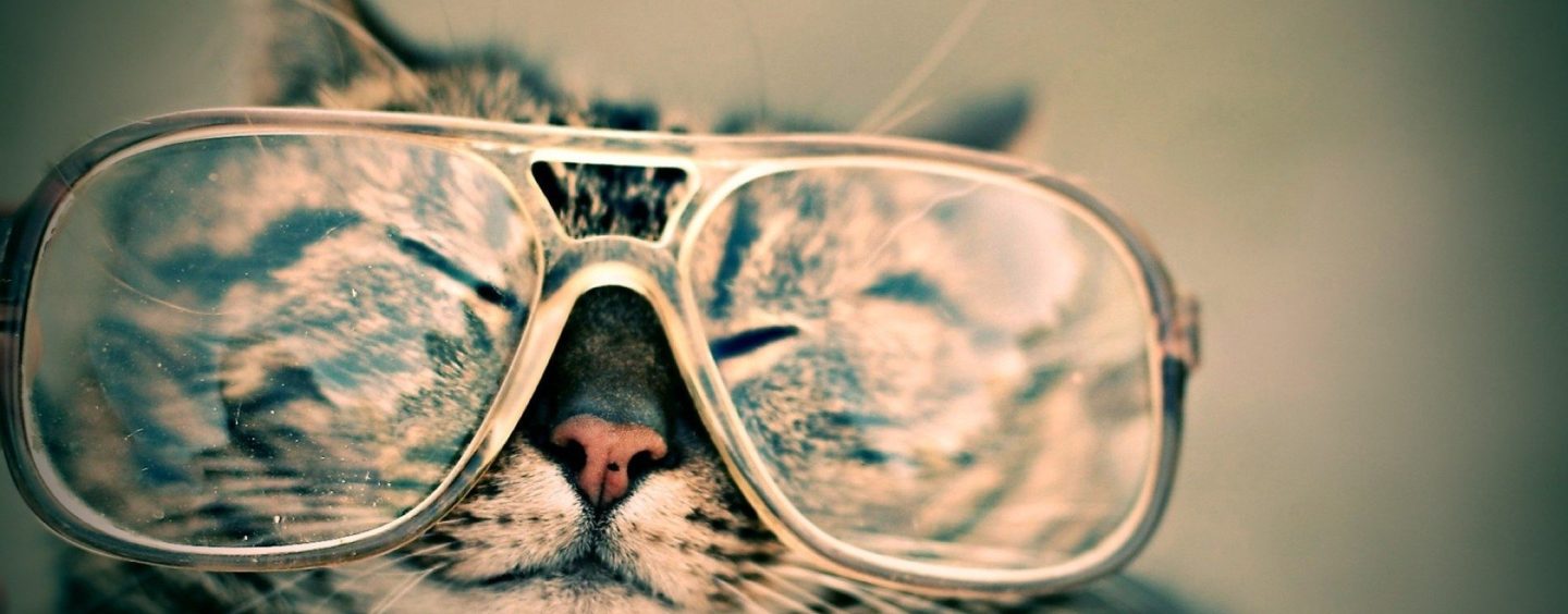 Salmoiraghi & Viganò: opportunità di stage