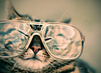 Salmoiraghi & Viganò: opportunità di stage