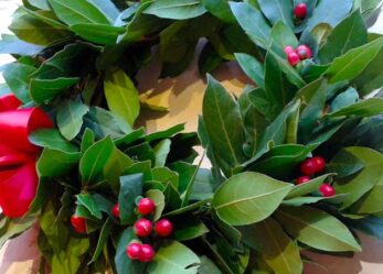 Premio di laurea magistrale Valeria Solesin