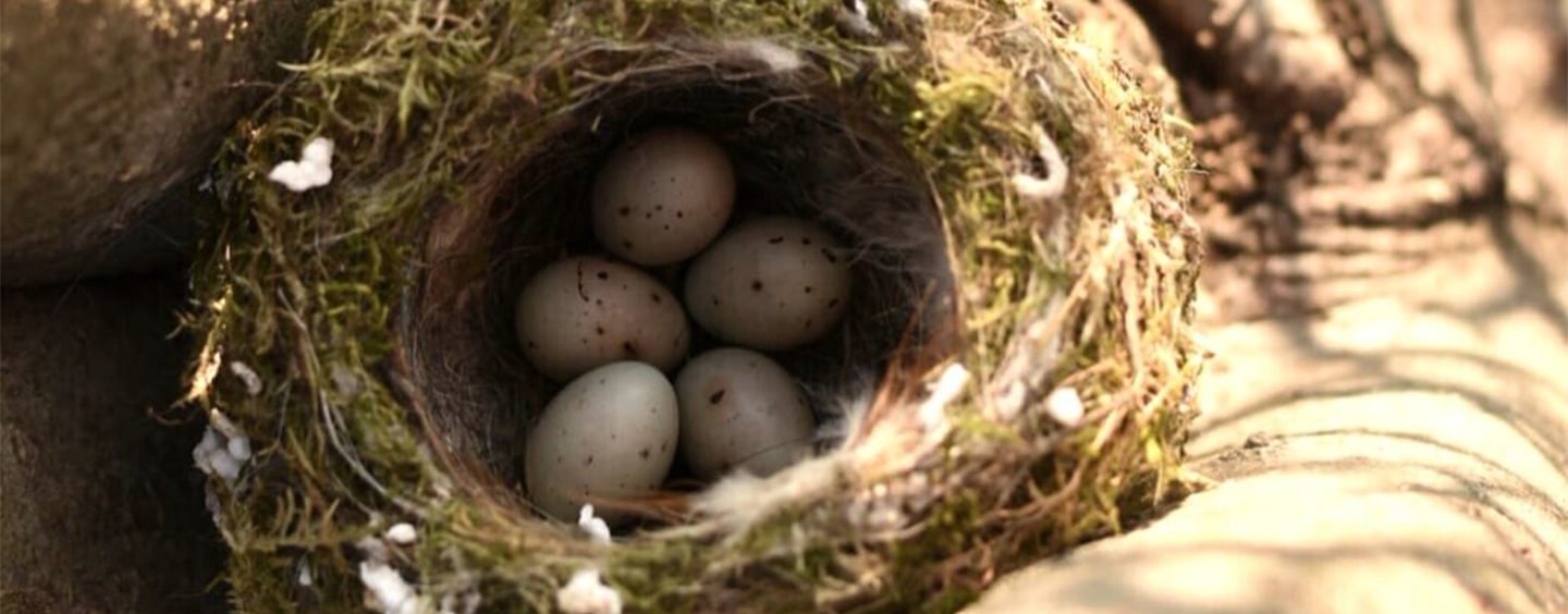 Silenzio e semplicità