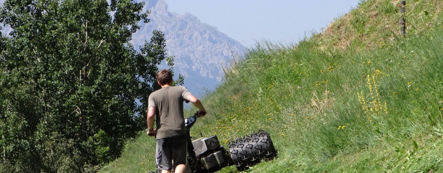 Bio-eroi per la montagna spiegati dalle tue foto