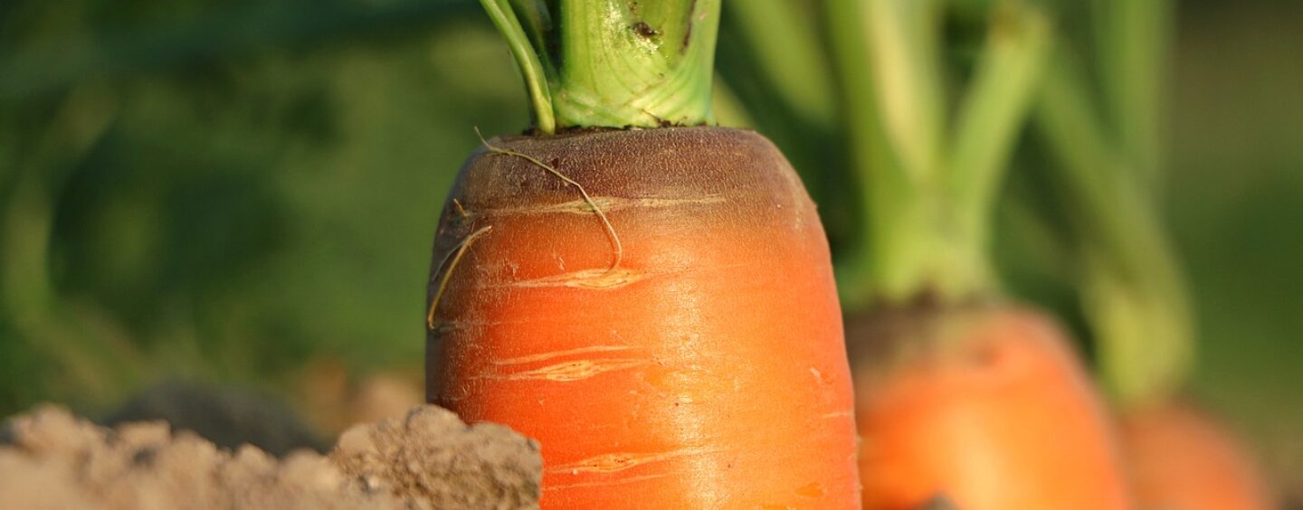 Finanza agevolata per la tua impresa agricola