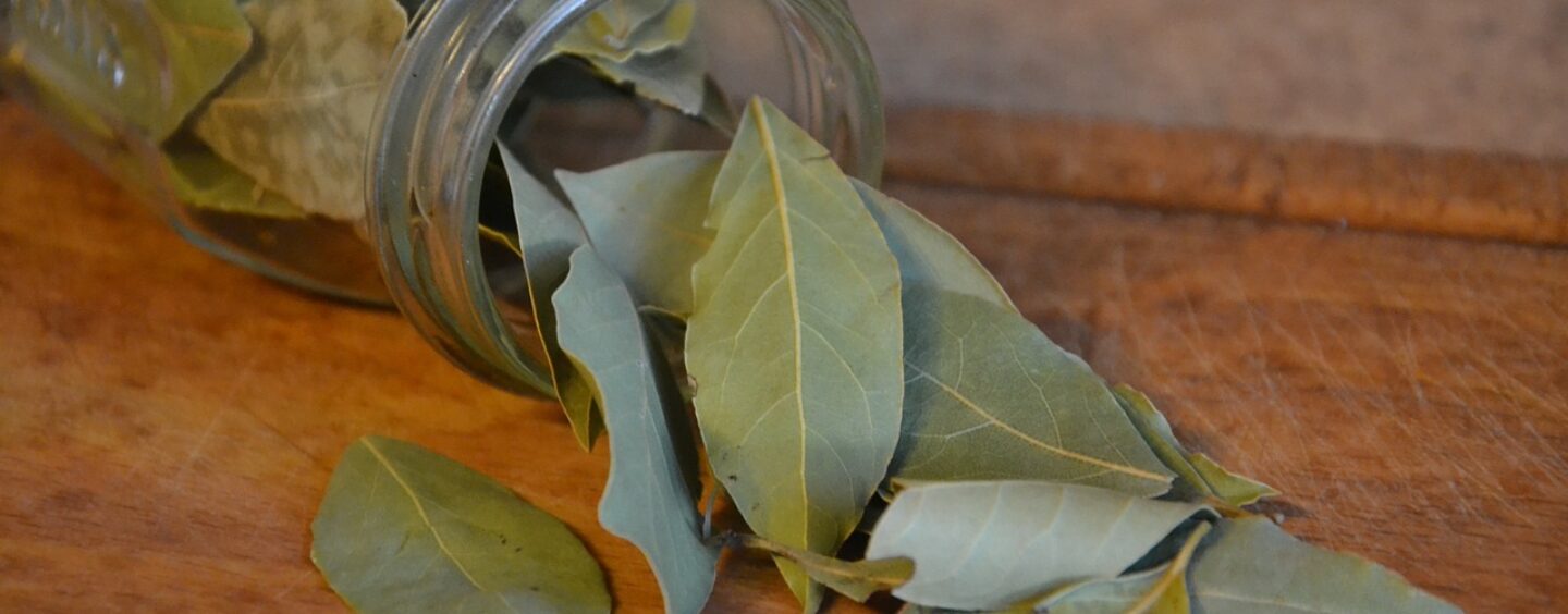 Premio di laurea per tesi sul giornalismo