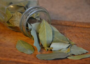 Premio di laurea per tesi sul giornalismo