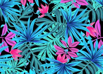 Inchiostro festival, concorso per giovani illustratori come te