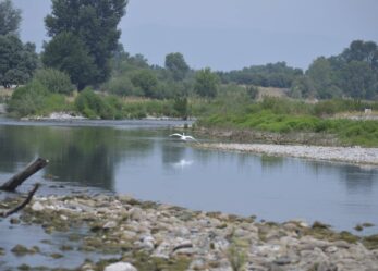 Il tuo audiovisivo per Ciak #in Lombardia-Lombardia riparte