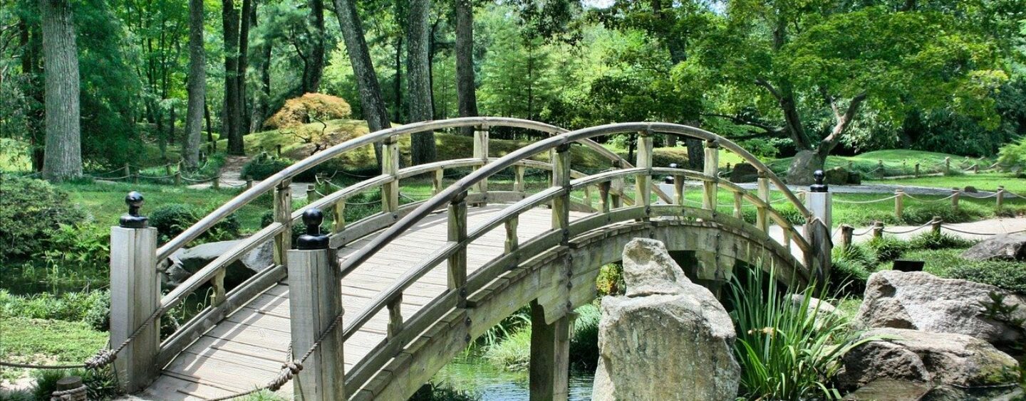 Architettura e natura nella tua tesi