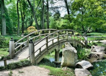 Architettura e natura nella tua tesi