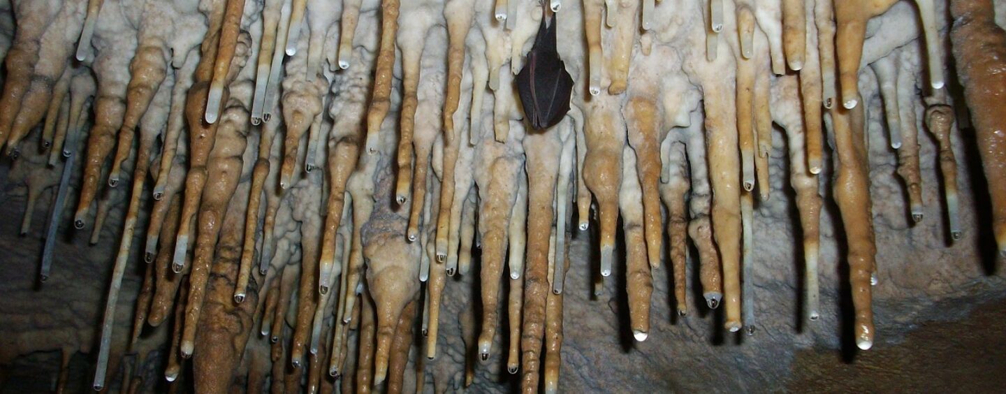 Due premi di laurea per studi sul territorio ipogeo della Toscana