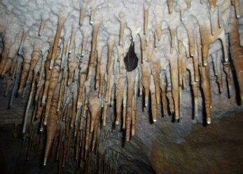 Due premi di laurea per studi sul territorio ipogeo della Toscana