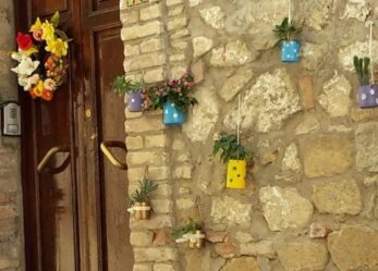 Corso gratuito per operatore del verde