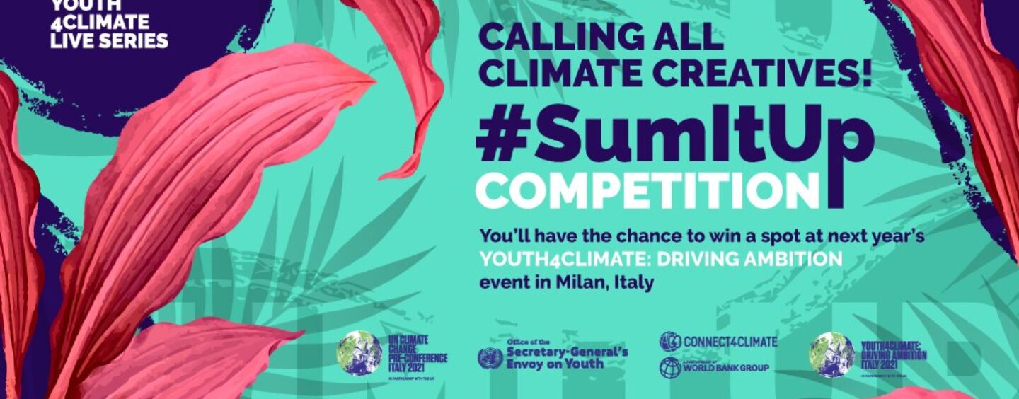 Giovani per il clima