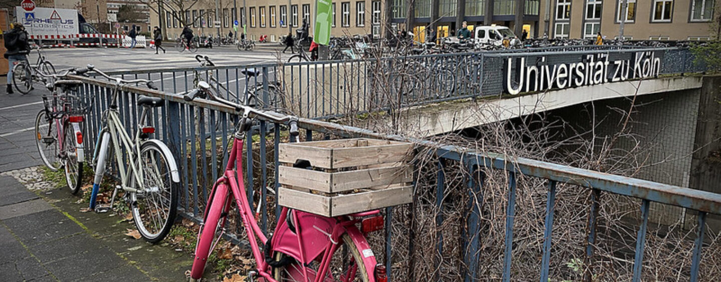 Quali borse di studio per la Germania?