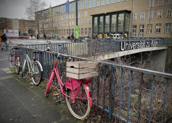 Quali borse di studio per la Germania?