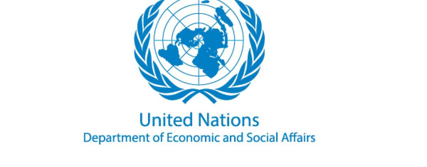 Tirocini presso il Dipartimento per gli affari economici e sociali delle Nazioni Unite