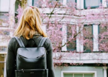 101 tirocini in Ambasciate, Rappresentanze, Consolati e Istituti italiani di cultura all’estero