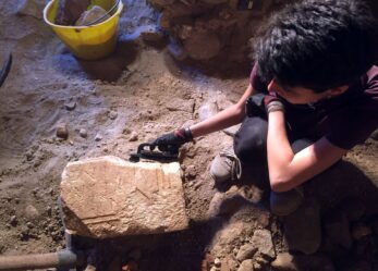 Concorso FAI per le scuole