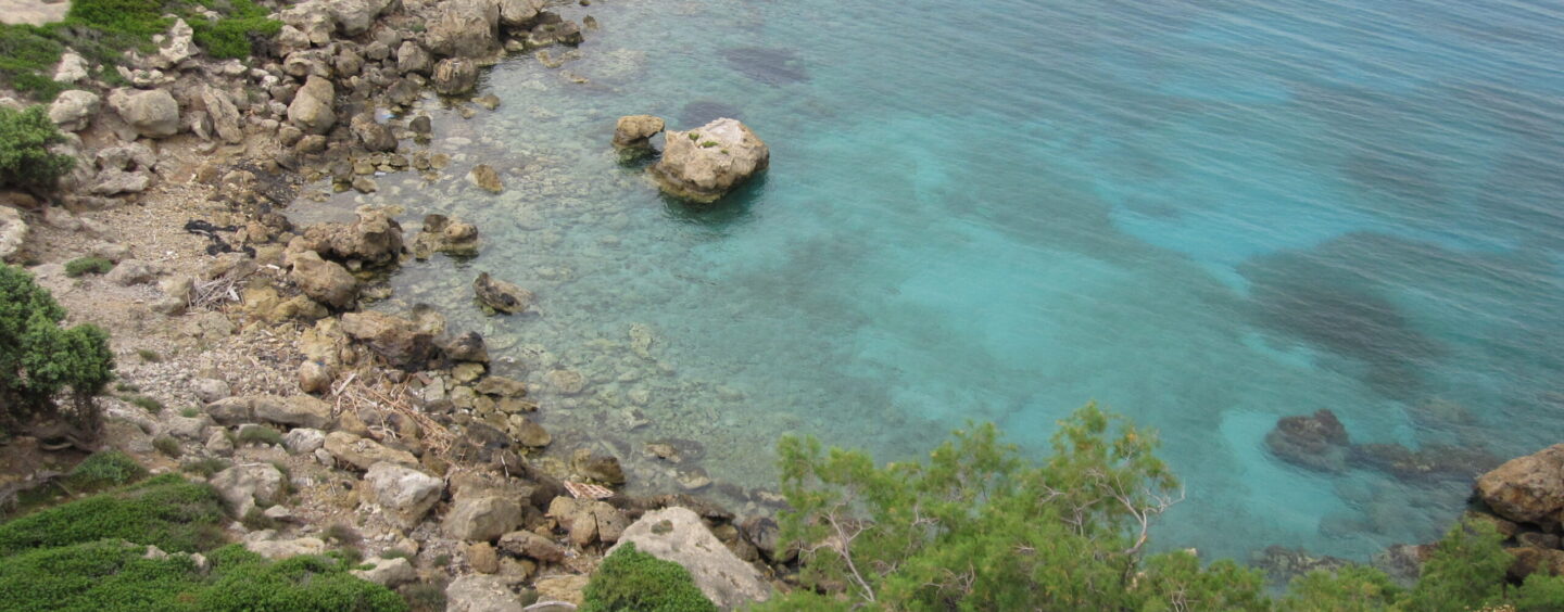 Premio di laurea per tesi sull’ambiente