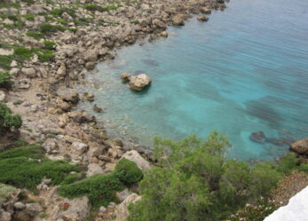 Premio di laurea per tesi sull’ambiente