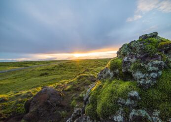 Borsa di studio per l’Islanda