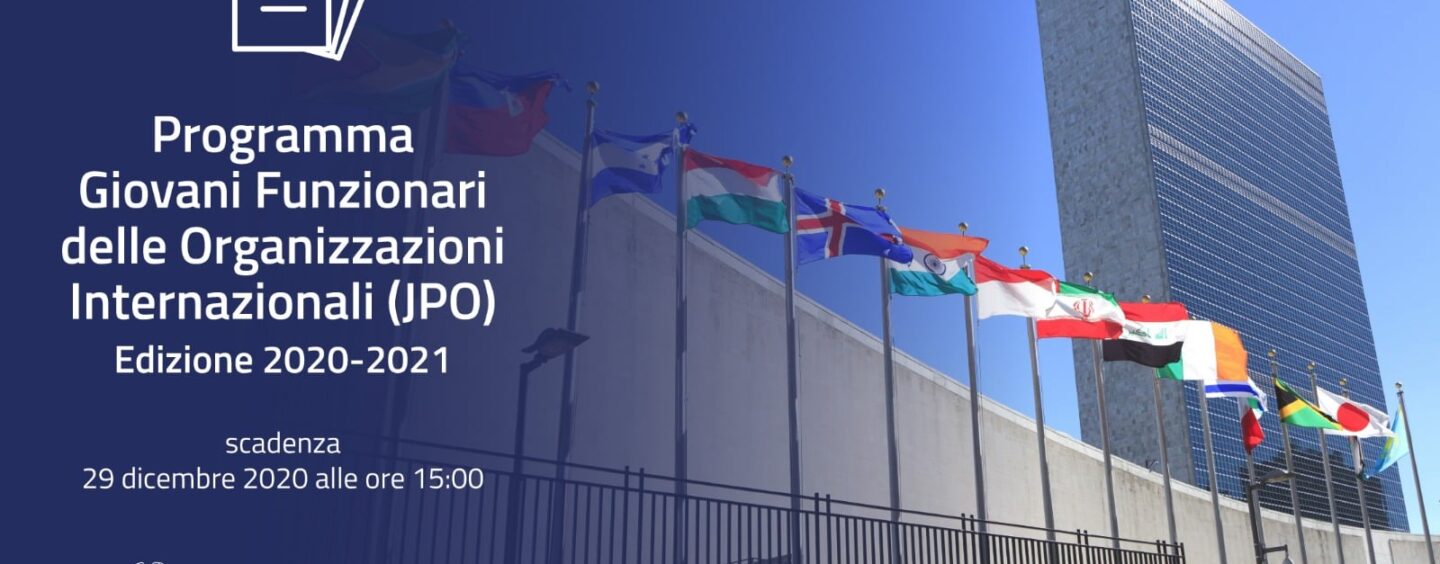 2 anni in un’organizzazione internazionale