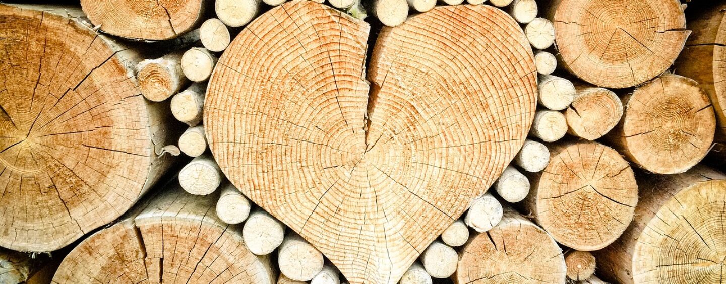 Fotografa il legno per il concorso AVIS