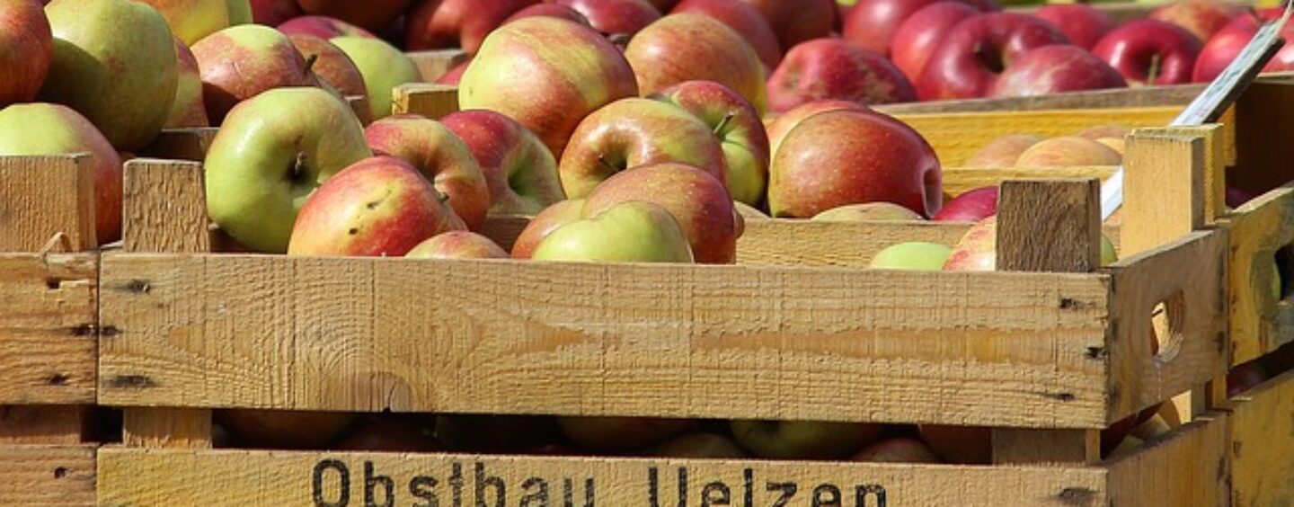 Corso gratuito on line per addetto al magazzino alimentare