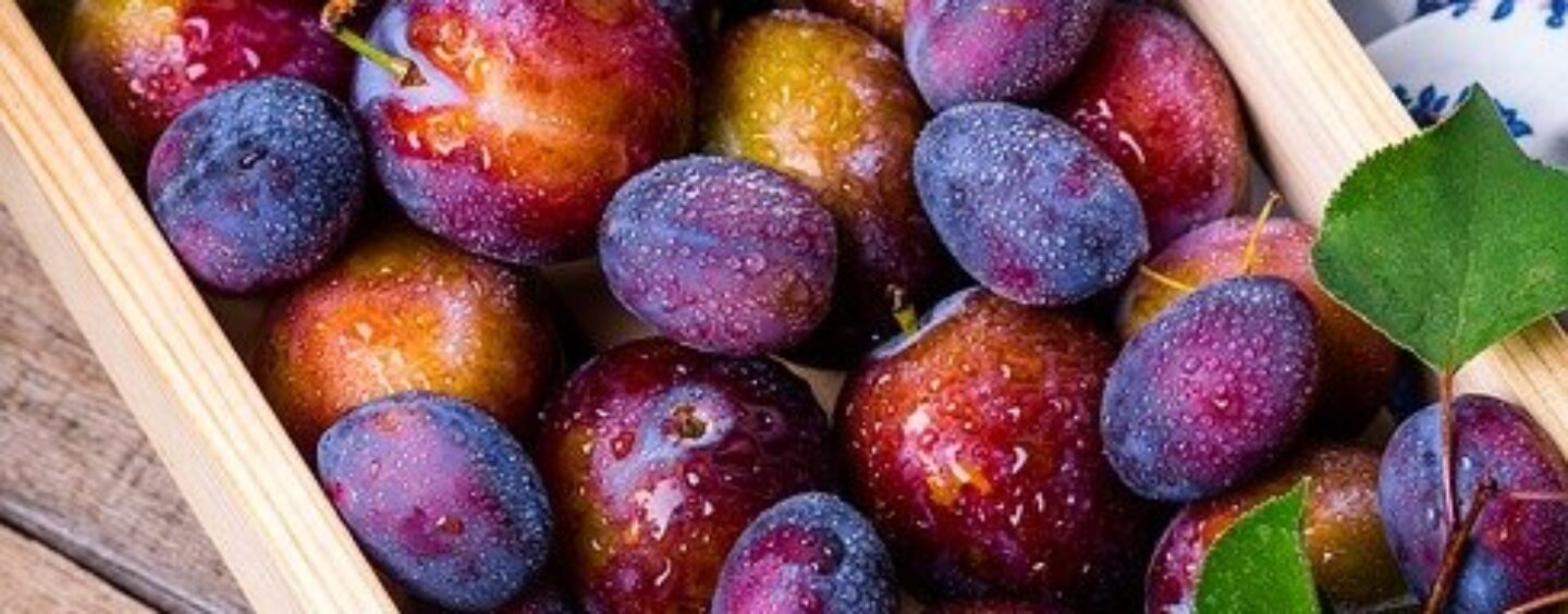 Corso gratuito on line per addetto al confezionamento di prodotti almentari