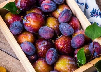 Corso gratuito on line per addetto al confezionamento di prodotti almentari