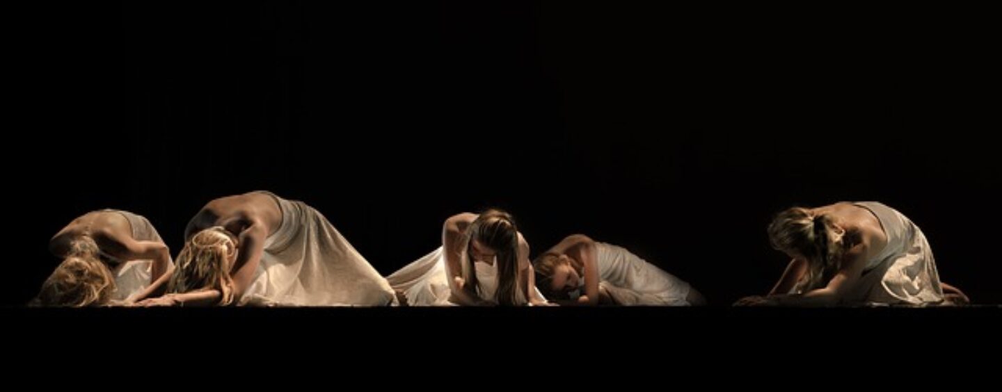 Opportunità lavorative al Teatro Idra: vari profili