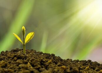 Se hai un’idea tirala fuori, concorso di Enea Tech