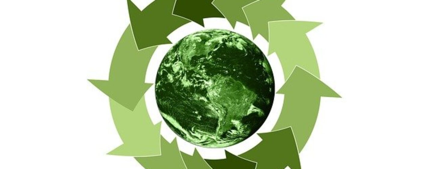 Un acceleratore per startup a impatto zero