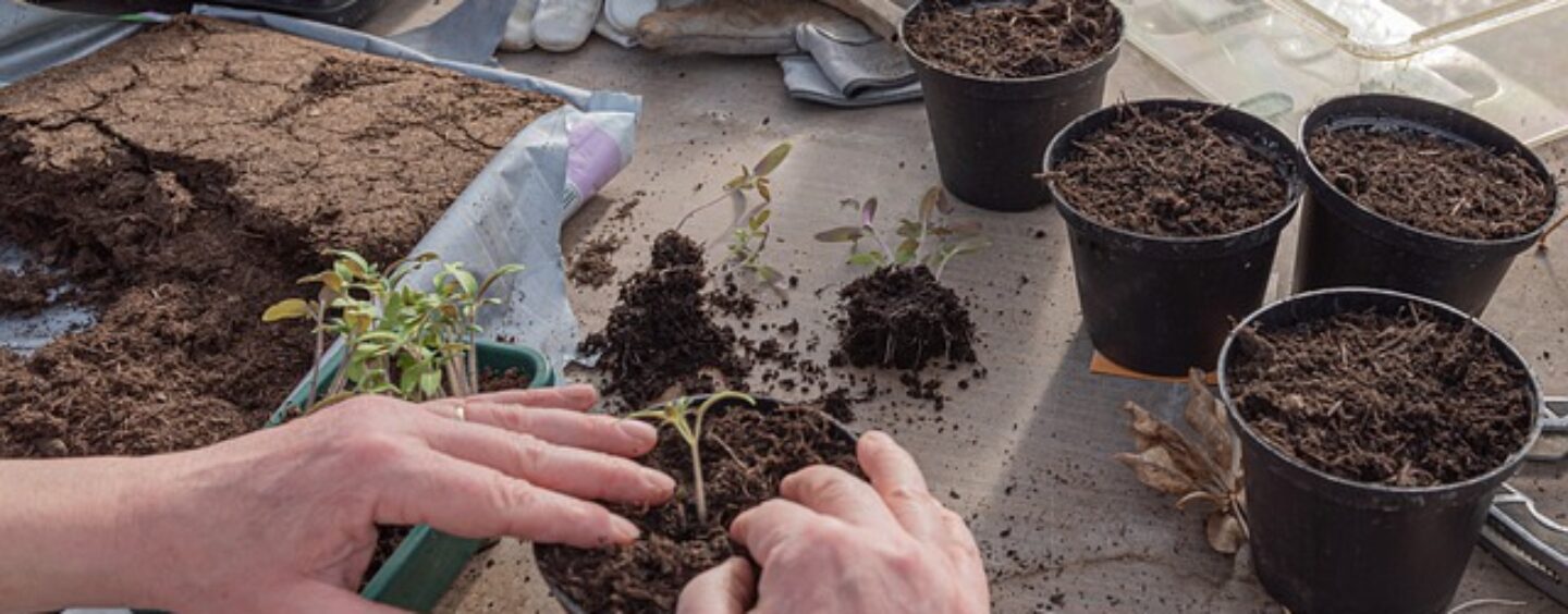 Dall’idea all’impresa green, concorso per startup (e idee)