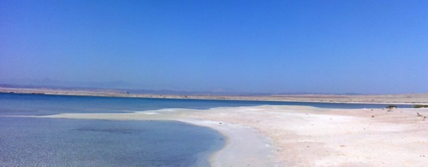 Illustra il tuo mondo senza inquinamento