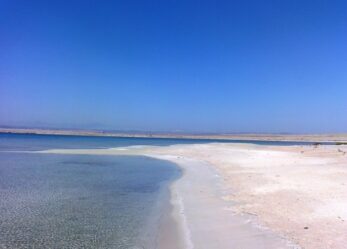 Illustra il tuo mondo senza inquinamento