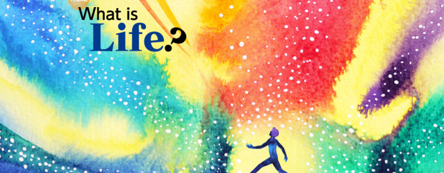 Scrivi un saggio sulla vita per uno sviluppo sostenibile