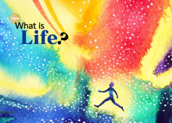 Scrivi un saggio sulla vita per uno sviluppo sostenibile