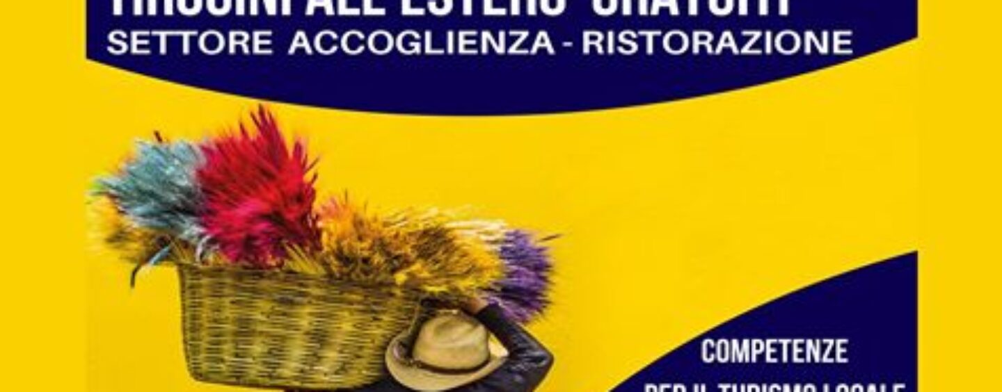 Tirocini in Repubblica Ceca, Spagna e Irlanda