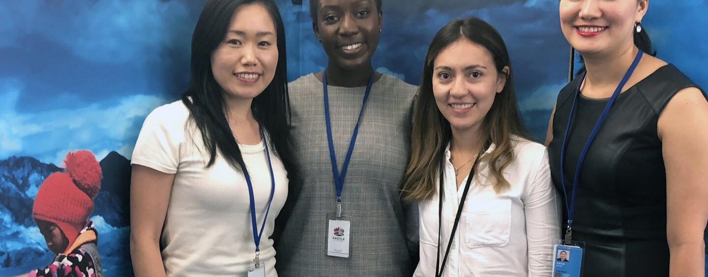 Tirocini UNICEF in Belgio, Corea, Danimarca, Giappone, Svizzera, Ungheria e USA