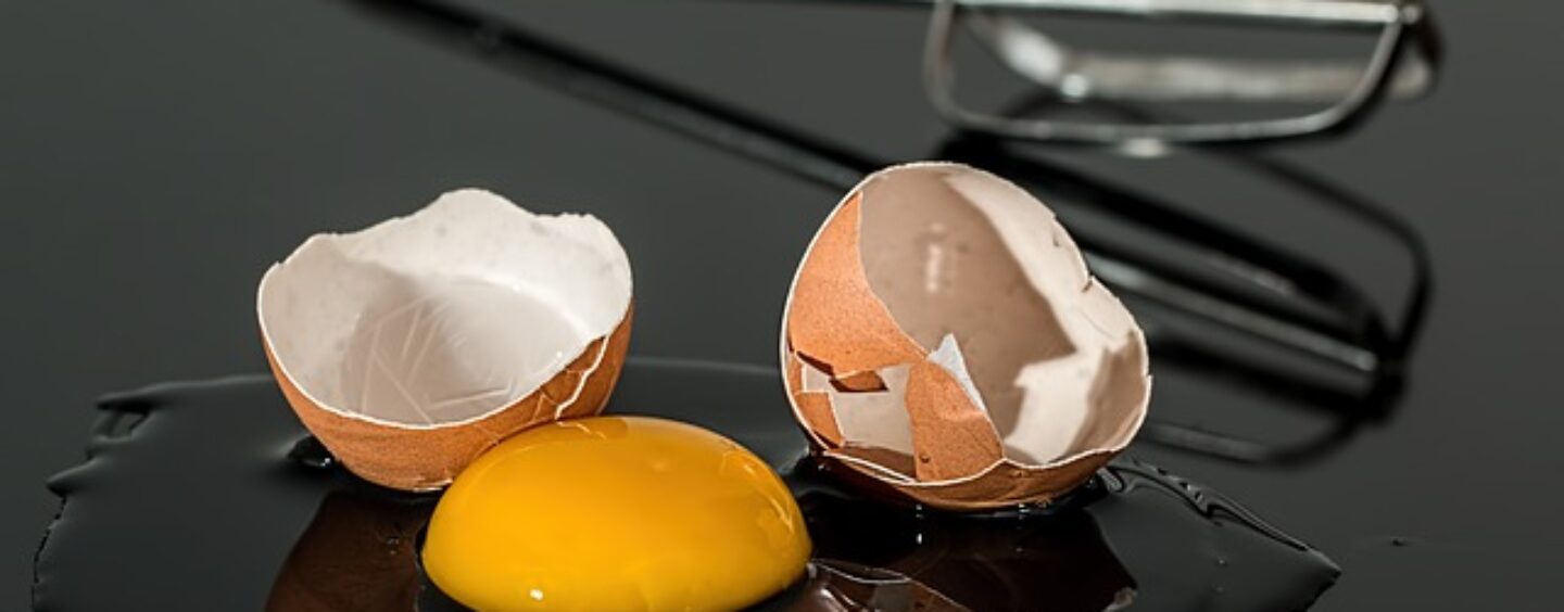 Opportunità di lavoro: personale di sala e cuoco