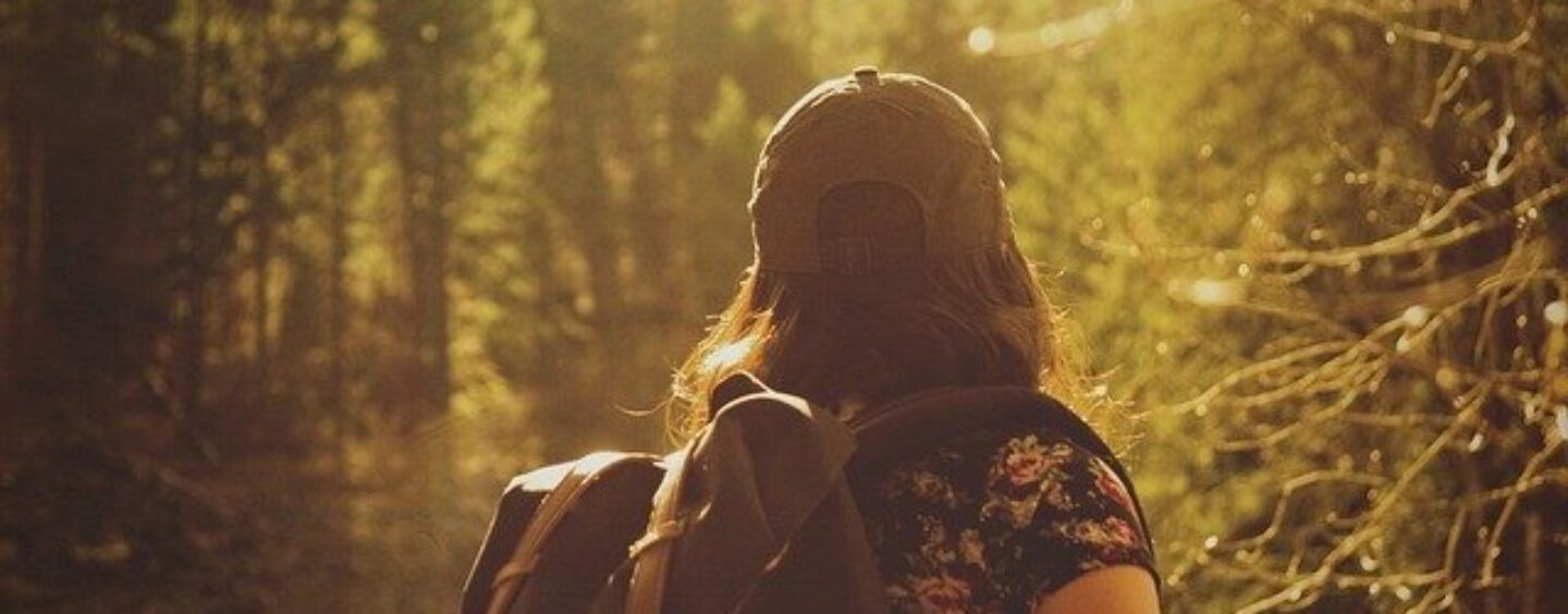 Opportunità di lavoro: apprendista