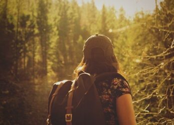 Opportunità di lavoro: apprendista