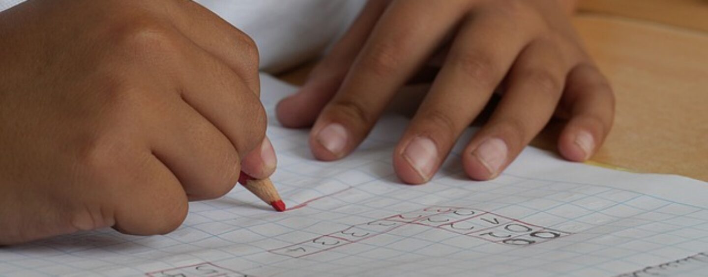 Opportunità di lavoro: assistenti ad personam