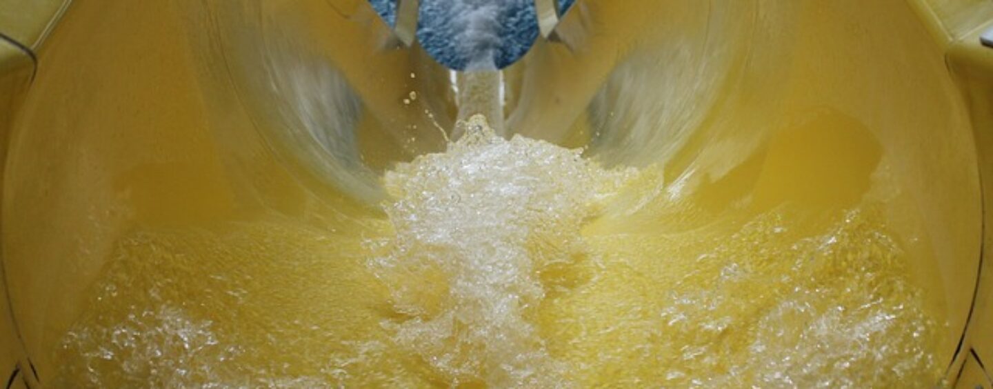 Opportunità di lavoro: baristi & assistenti bagnanti stagionali