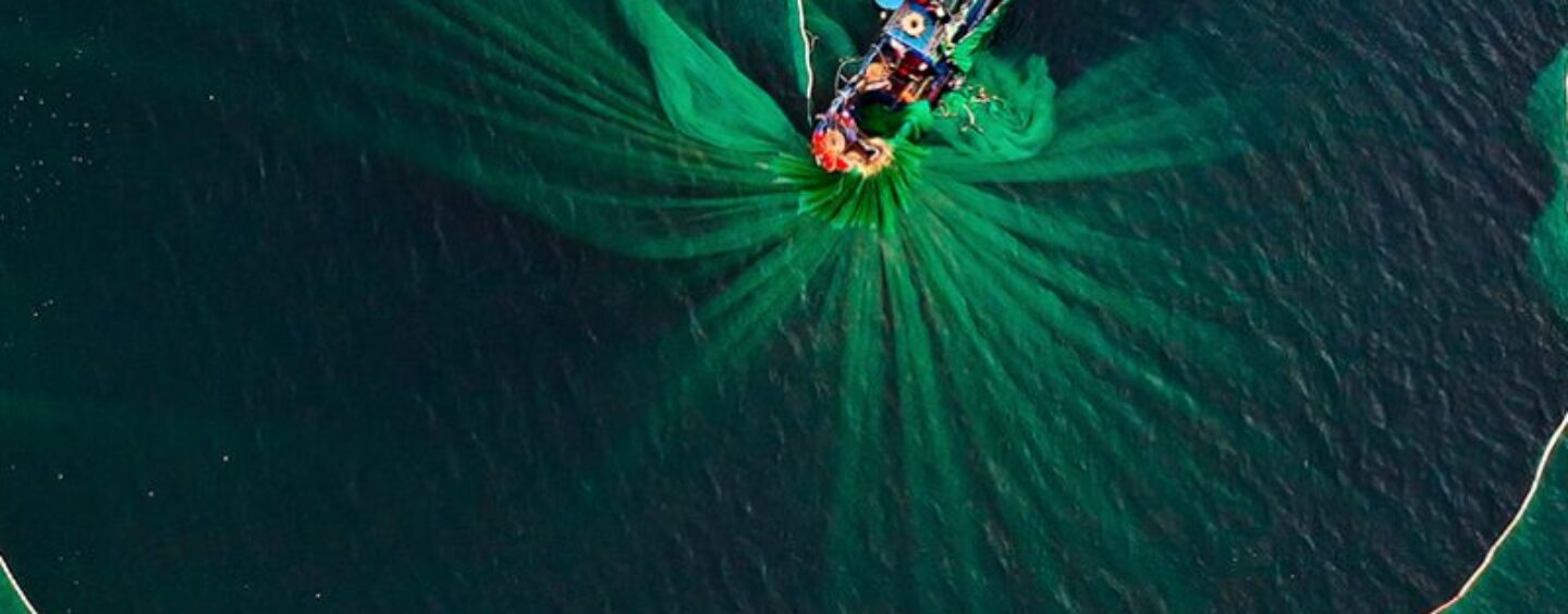 Fotografa l’ambiente e vinci una Nikon