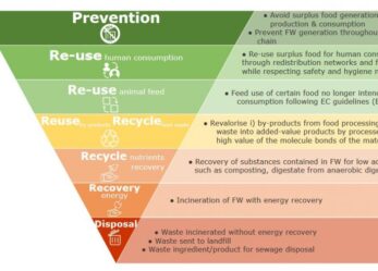 Tirocini in agricoltura