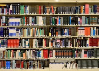 Opportunità di tirocinio in ambito giuridico